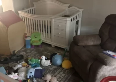 Home Cleaner